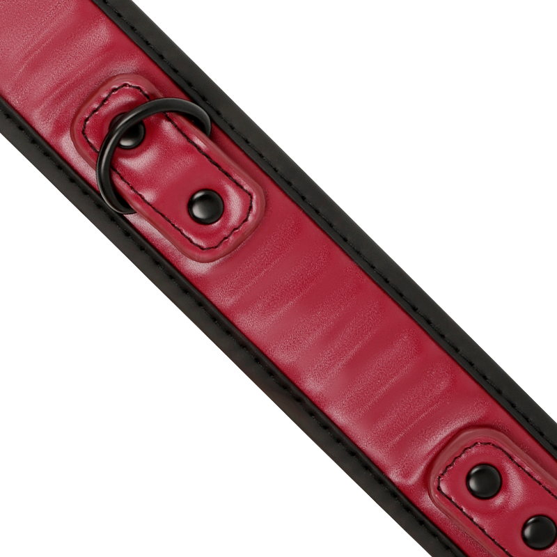 Fetish Submissive Dark Room – Colar de Corrente com Forro de Neoprene