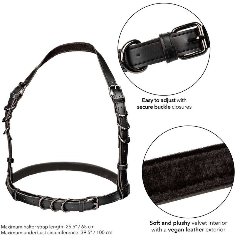 Arnés de Hebilla Halter Negro