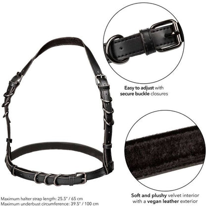Arnés de Hebilla Halter Negro