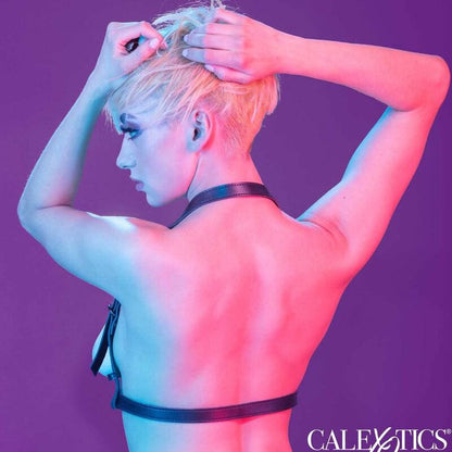 Arnés de Hebilla Halter Negro
