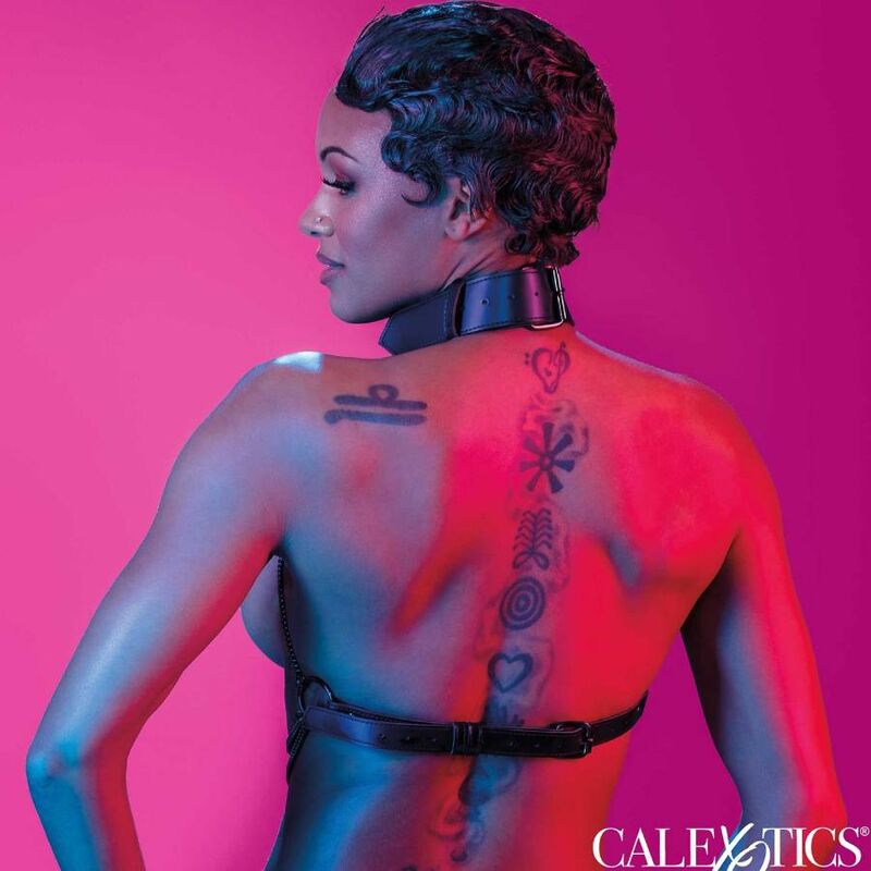 Arnês de Colar Multi Cadeia