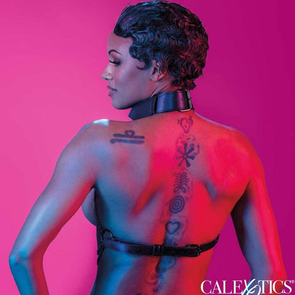 Arnês de Colar Multi Cadeia