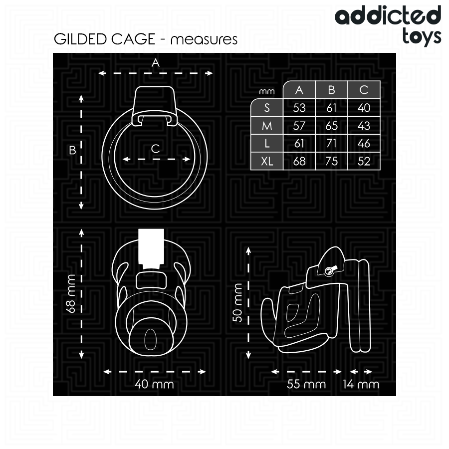 Imagem da Gaiola de Castidade Metálica Addicted Toys Gilden 8.5cm com todos os seus componentes.