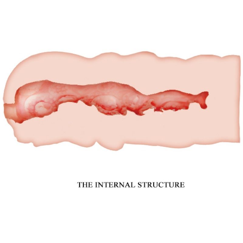 Masturbador Vaginal Isabel Ultra Realista 13.5 CM