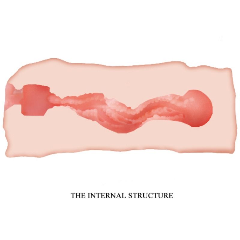 Masturbador Masculino Vagina Realista Jane Compacta