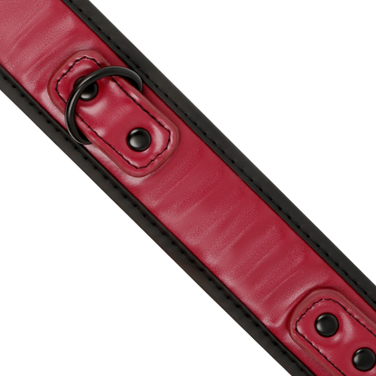 Close-up da Coleira de Corrente Fetish Submissive com forro de neoprene e detalhes em metal.