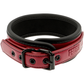 Fetish Submissive Dark Room – Colar de Corrente com Forro de Neoprene